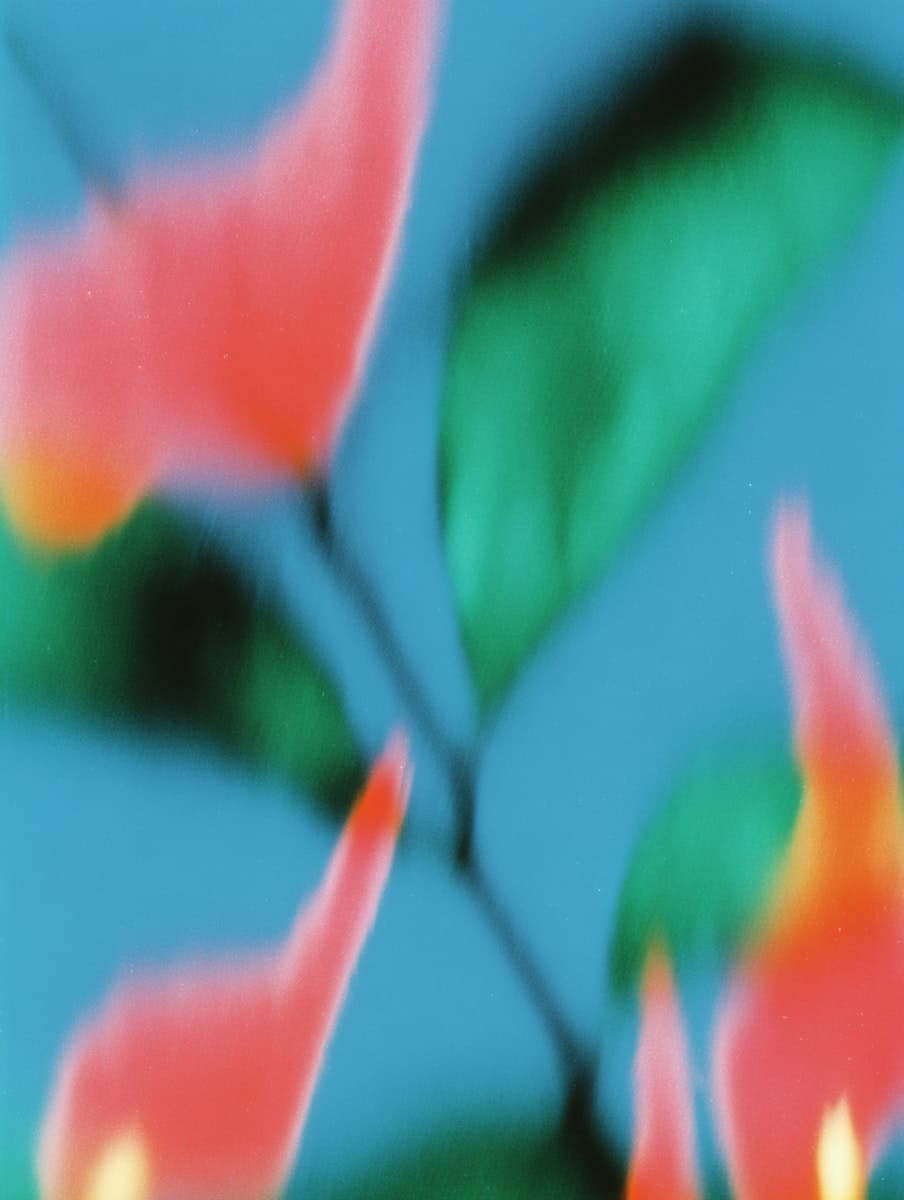 Abstract floral pattern